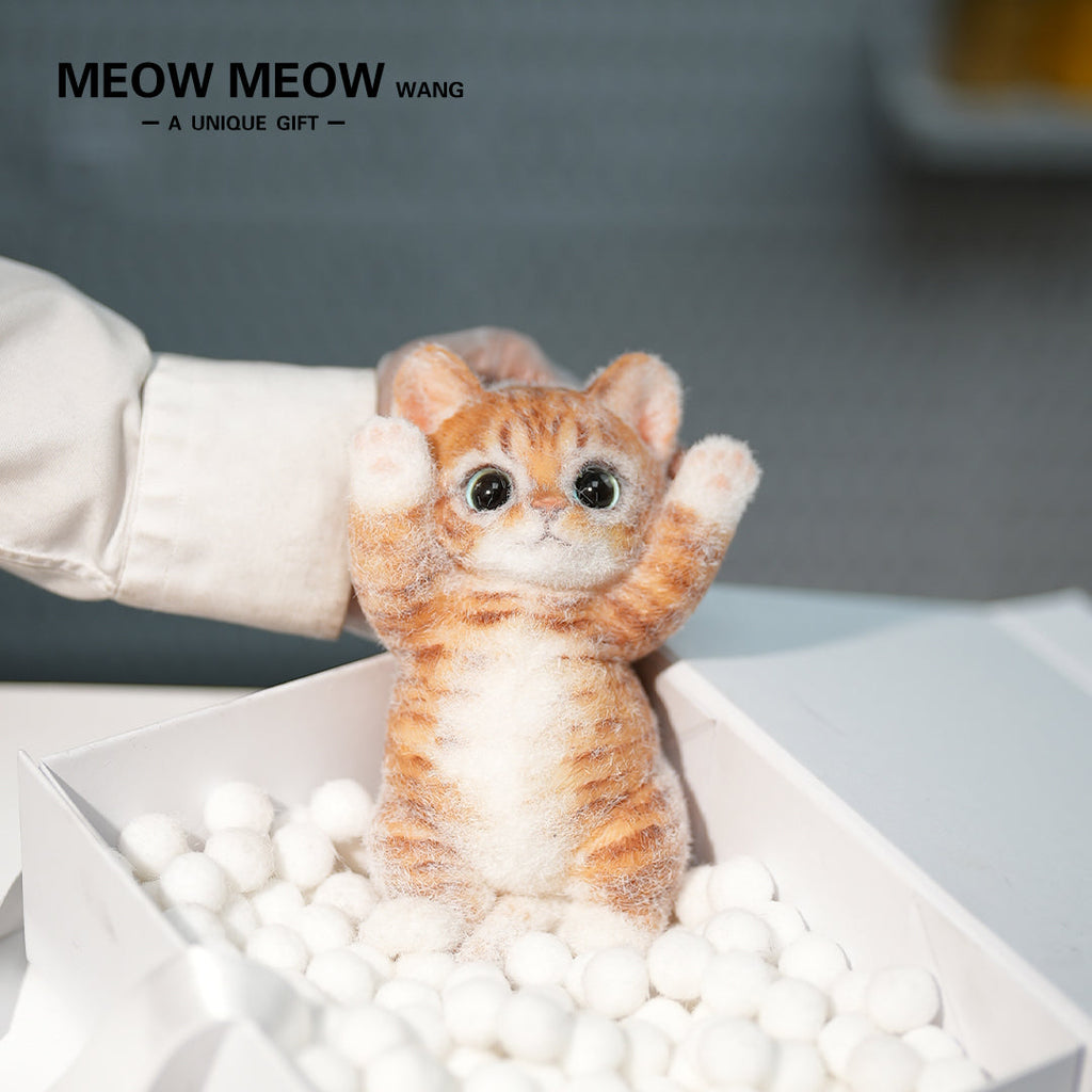 B12:Rare Blue-Eyed Ginger Cat