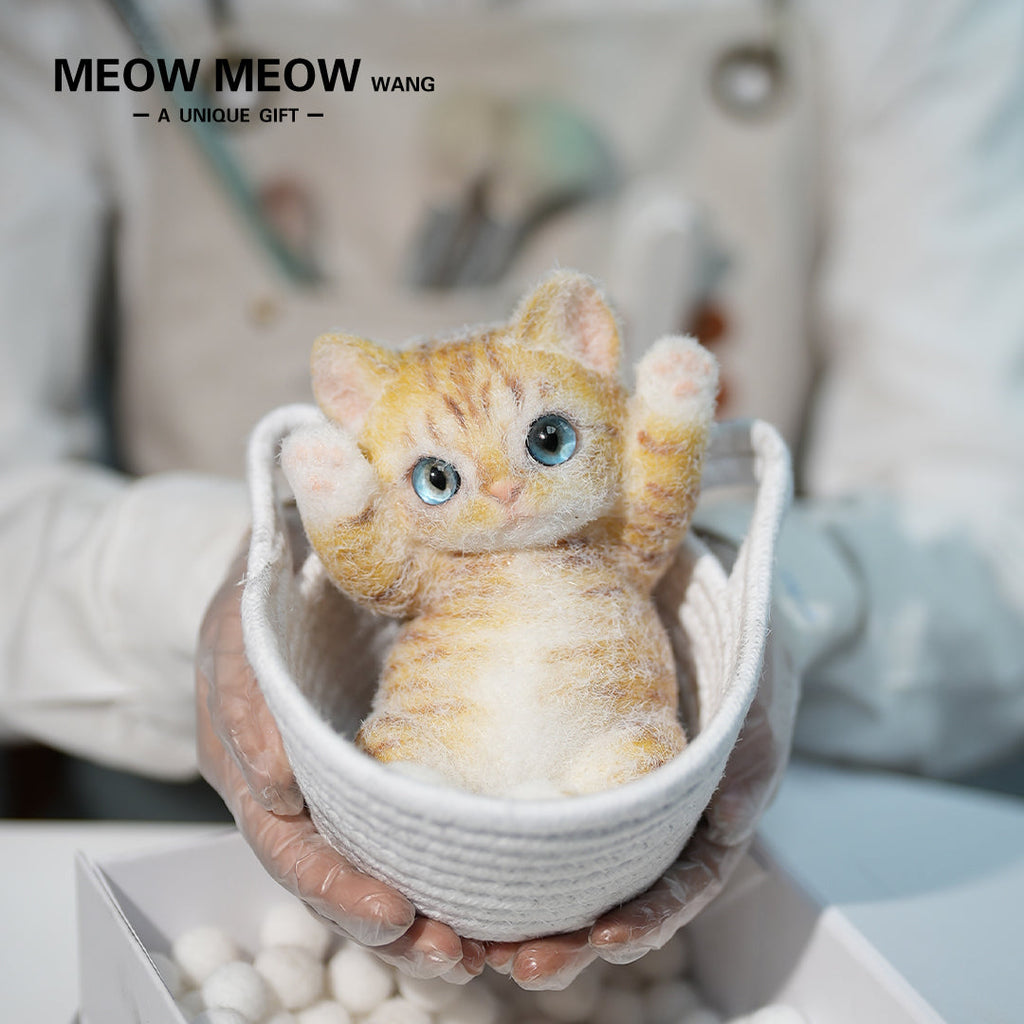 B16:Cute Little Golden-Orange Kitten