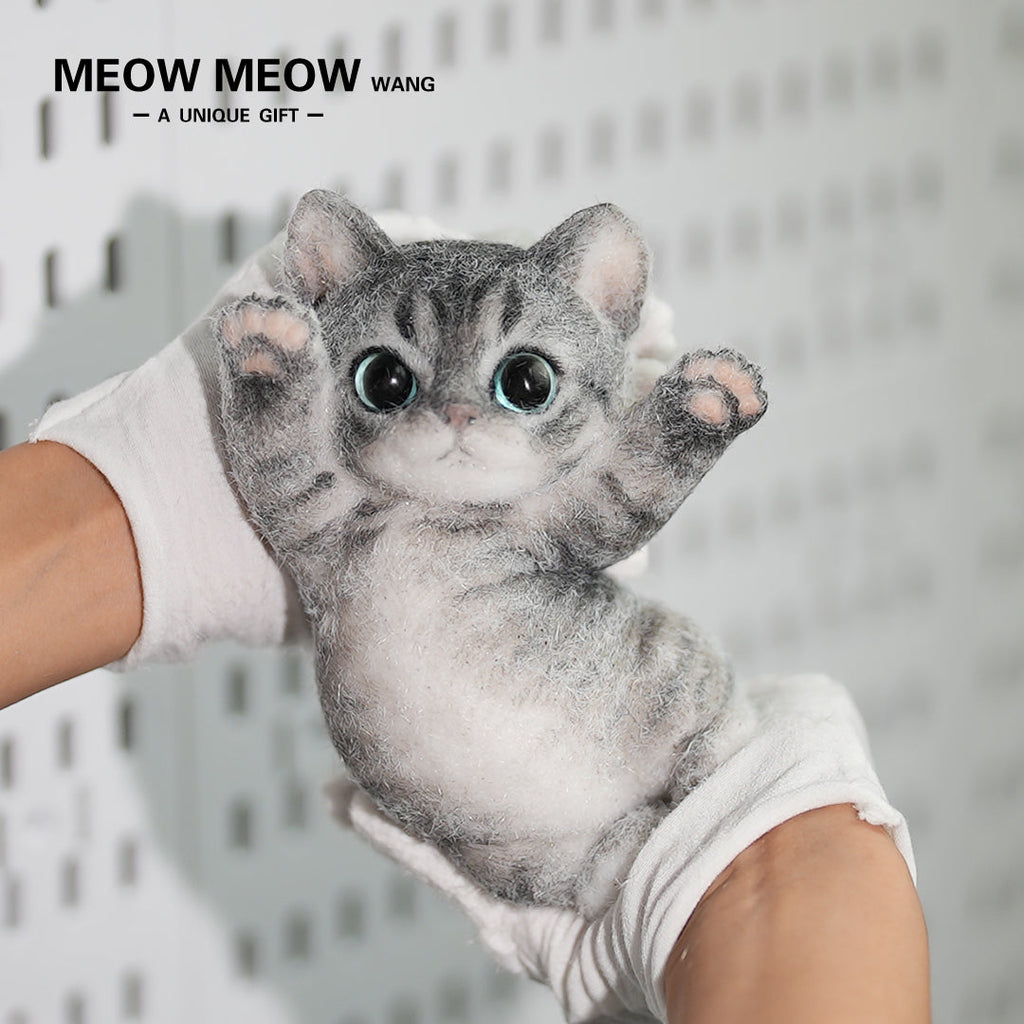 B07:Skinny Cat With Pink Paws And Blue Eyes