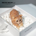 B23:A Ginger Cat Lying Down