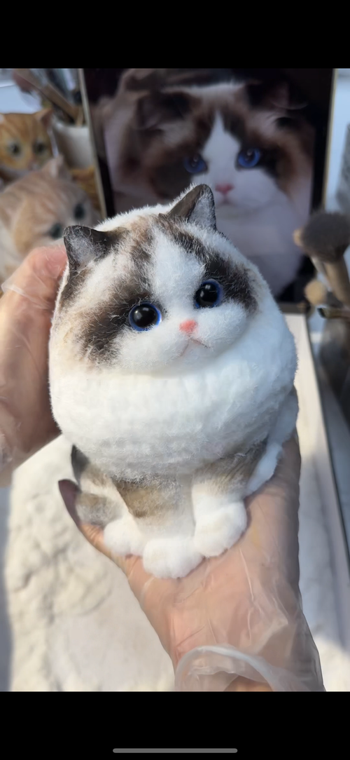 A003: Customized Long-haired Cat