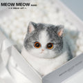 C32:Cute Blue And White Cat