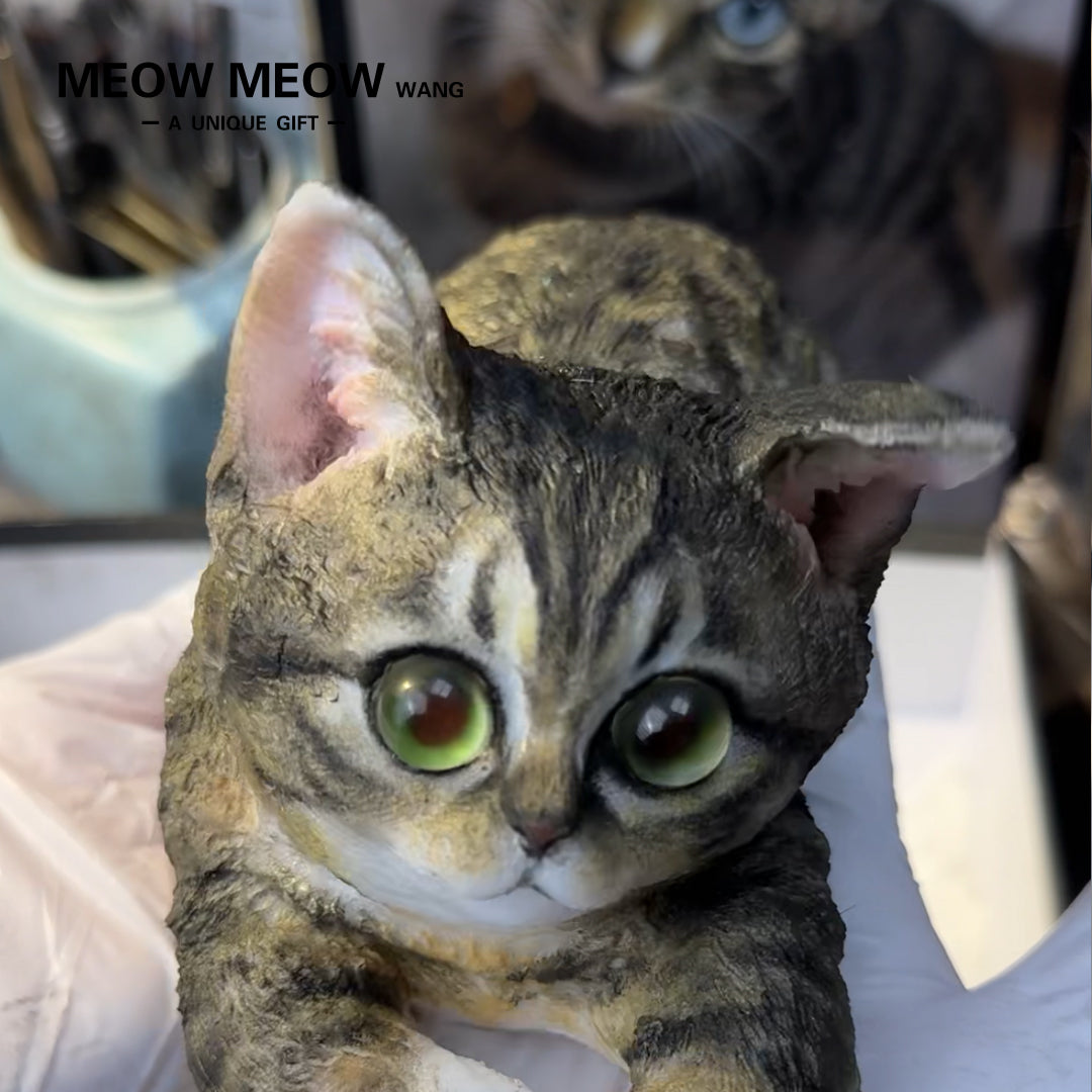 A006:Customized Stretching Cat