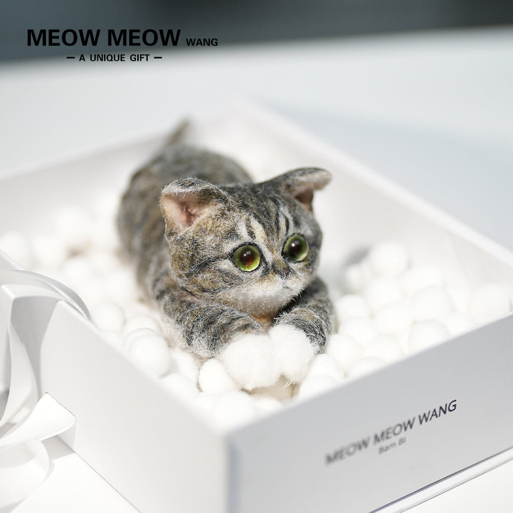 B22:A Lying Tabby Cat