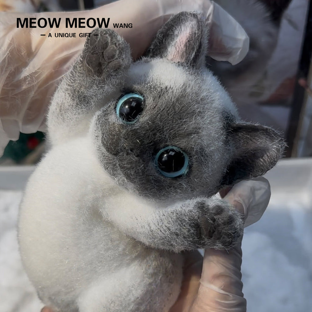 A05:ovely Slim Siamese Cat