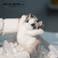B17:Blue-Eyed Cute Doll Cat Raising Its Paw