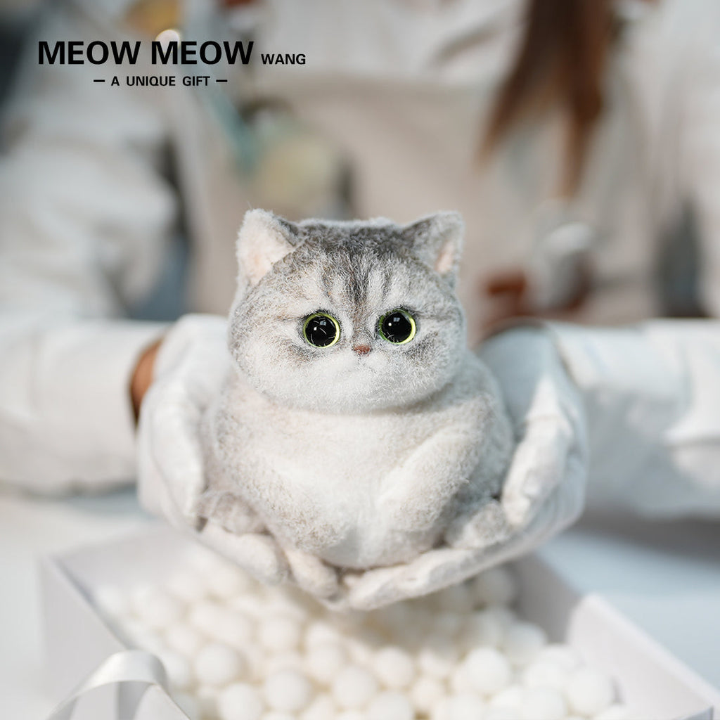 C34:Adorable Chubby Kitten In A Basket