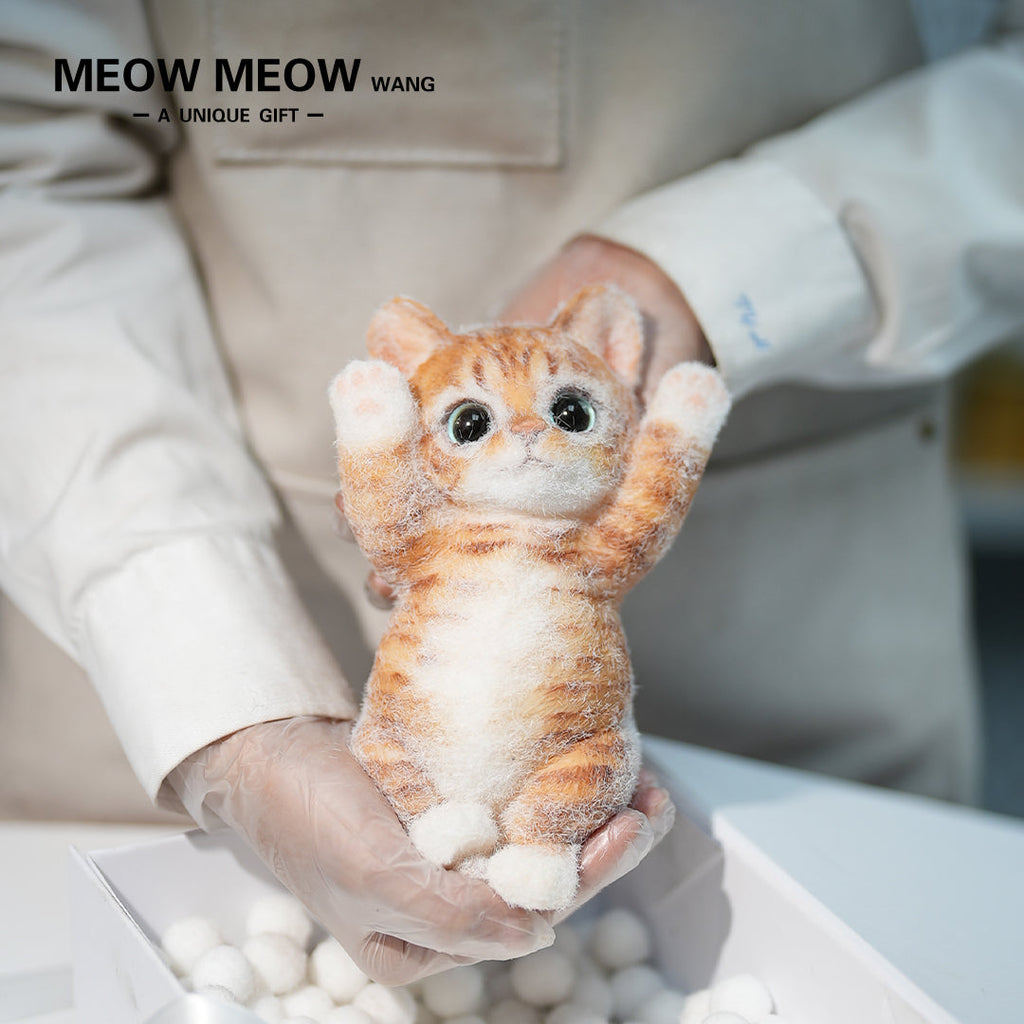 B12:Rare Blue-Eyed Ginger Cat
