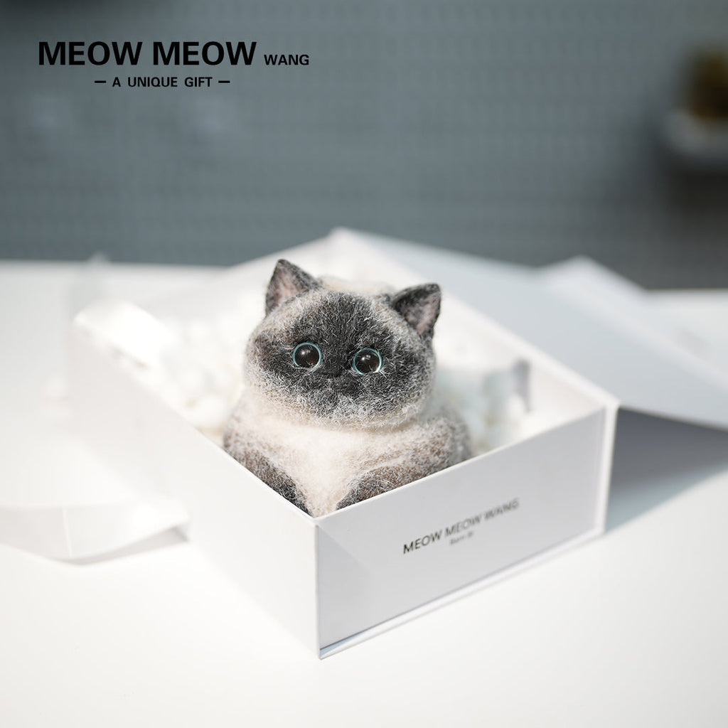 C40:Point-Coloured Siamese Cat