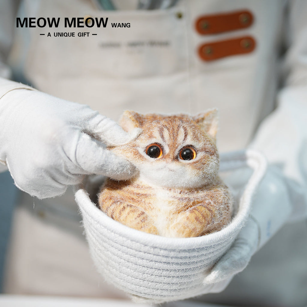 C41:Soft, Cute Chubby Orange Cat