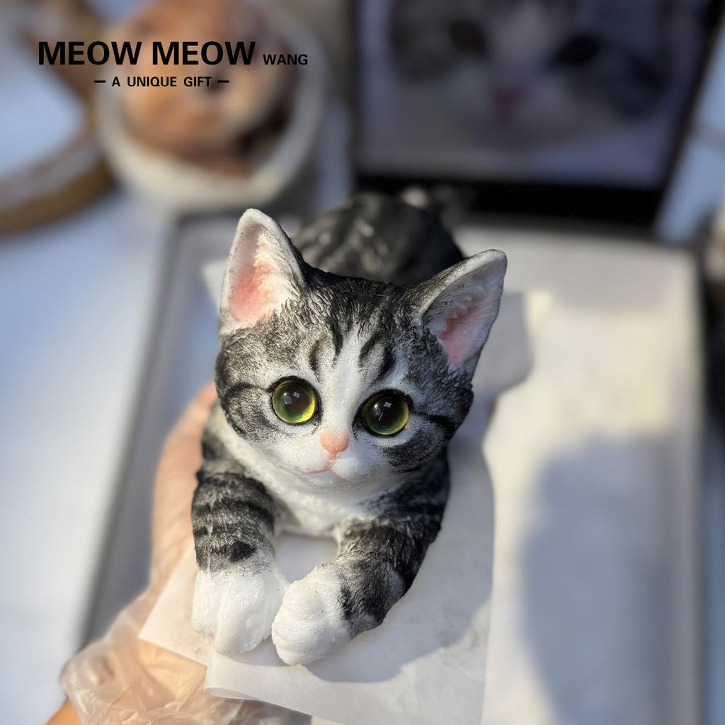 A006:Customized Stretching Cat