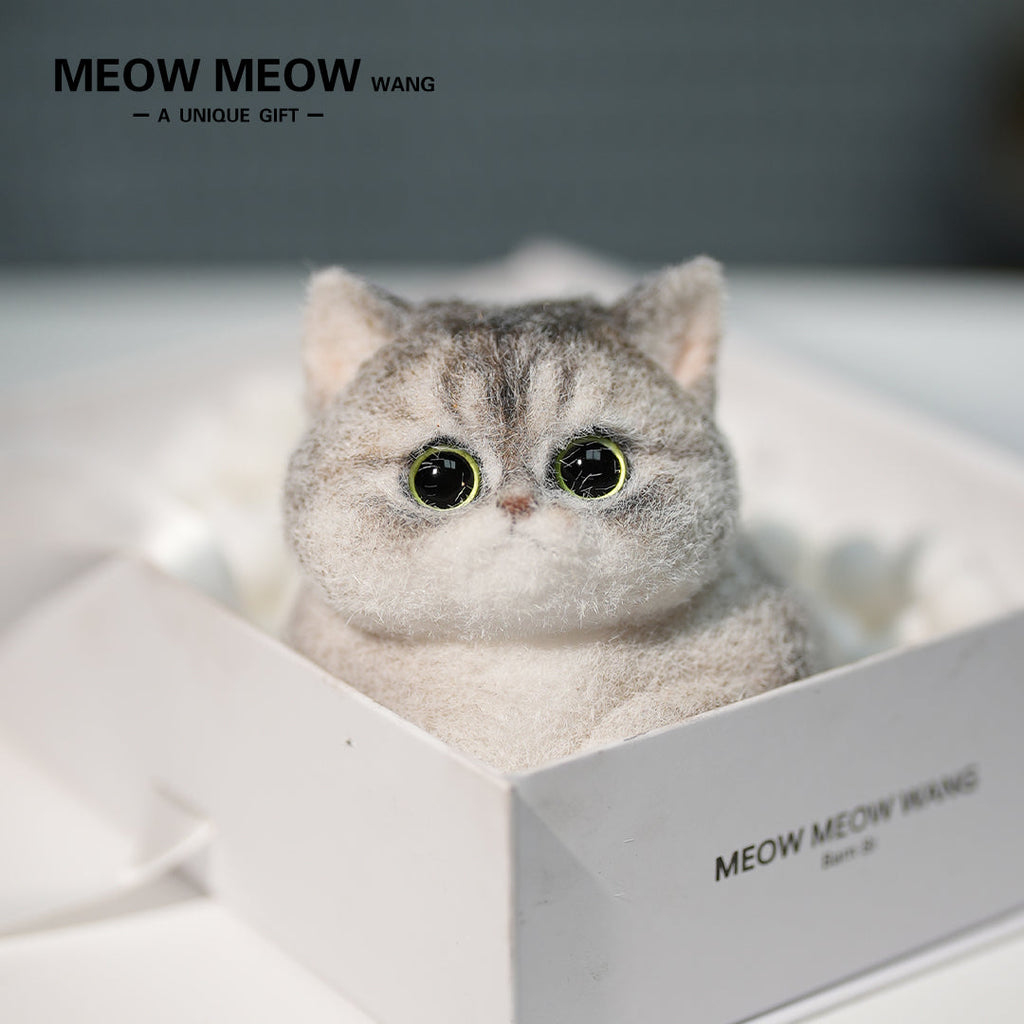C34:Adorable Chubby Kitten In A Basket