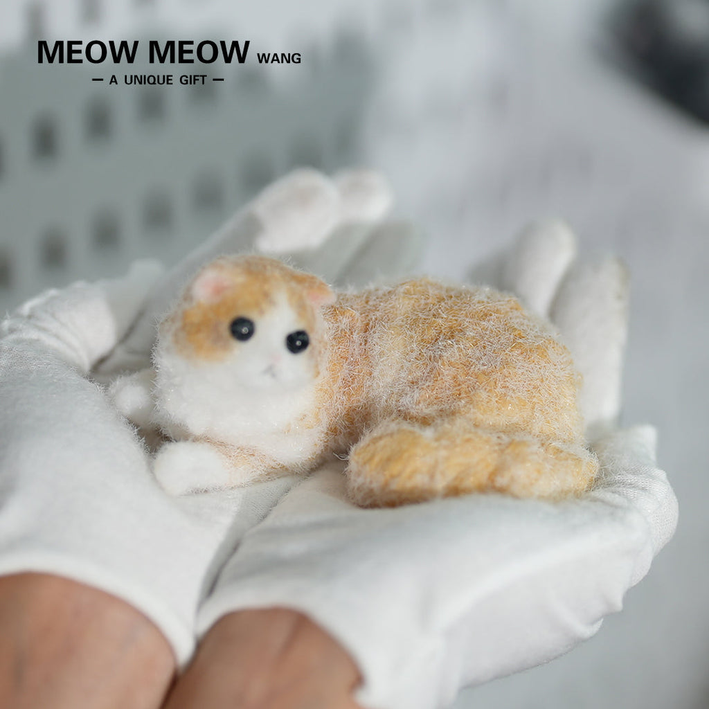 E05:Cute And Lively Orange Kitten