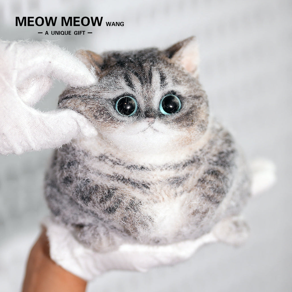 C18:Cute Chubby Black Brown Tabby Cat