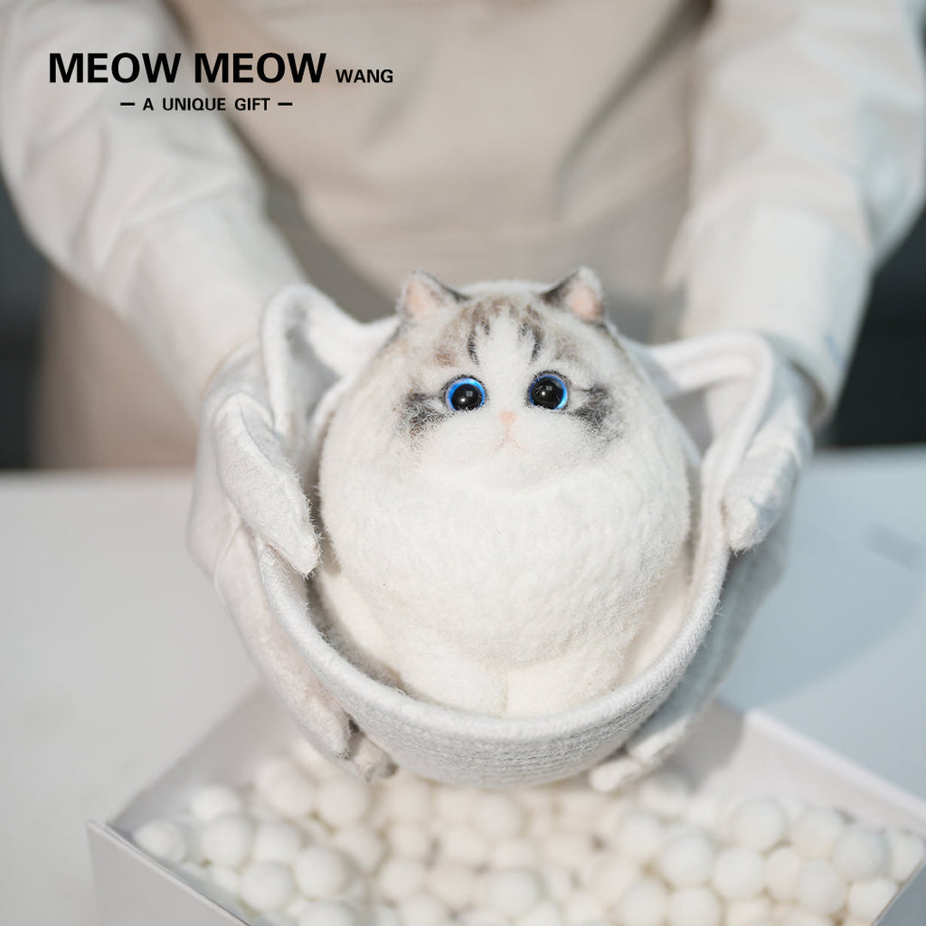 A17:Chubby And Cute Ragdoll Cat