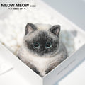 C40:Point-Coloured Siamese Cat
