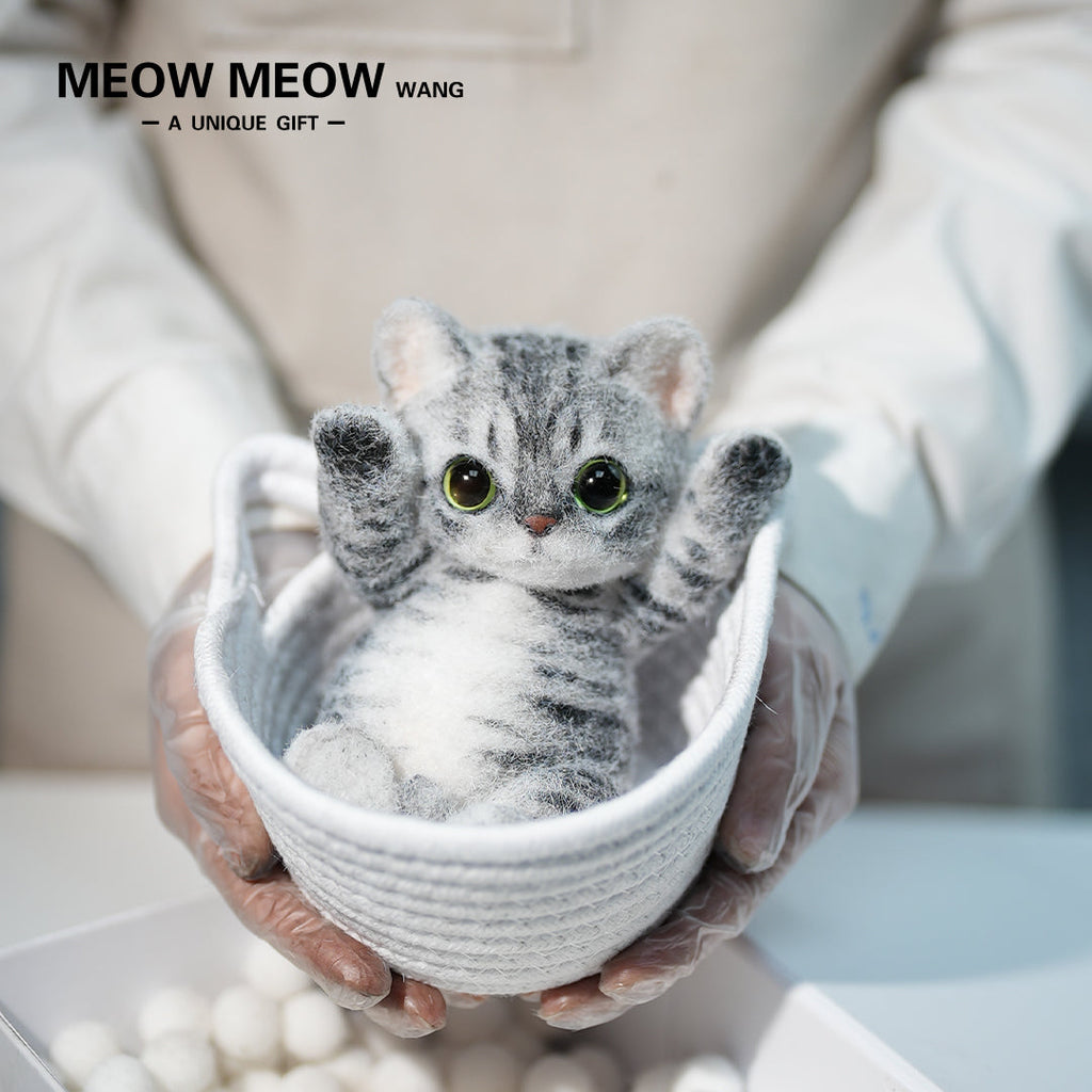 B11:A Tabby Cat With Green Eyes