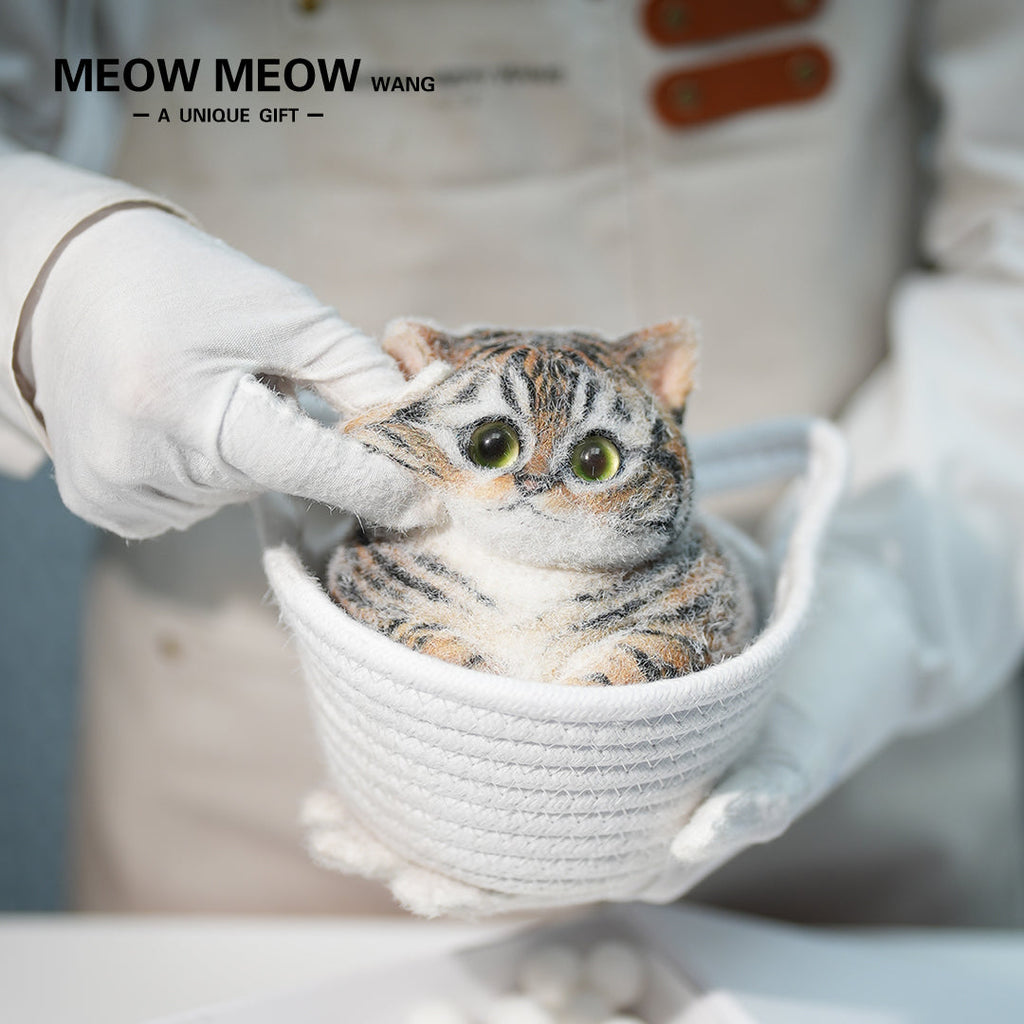 C26:Chubby Little Tiger Cat