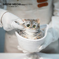C26:Chubby Little Tiger Cat