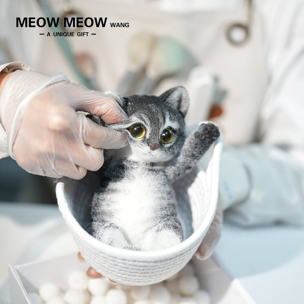 B06:Black Slim Tabby With Yellow-Green Eyes