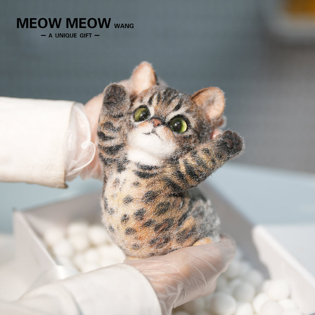 B14:A Golden Leopard Cat With A Bloated Belly