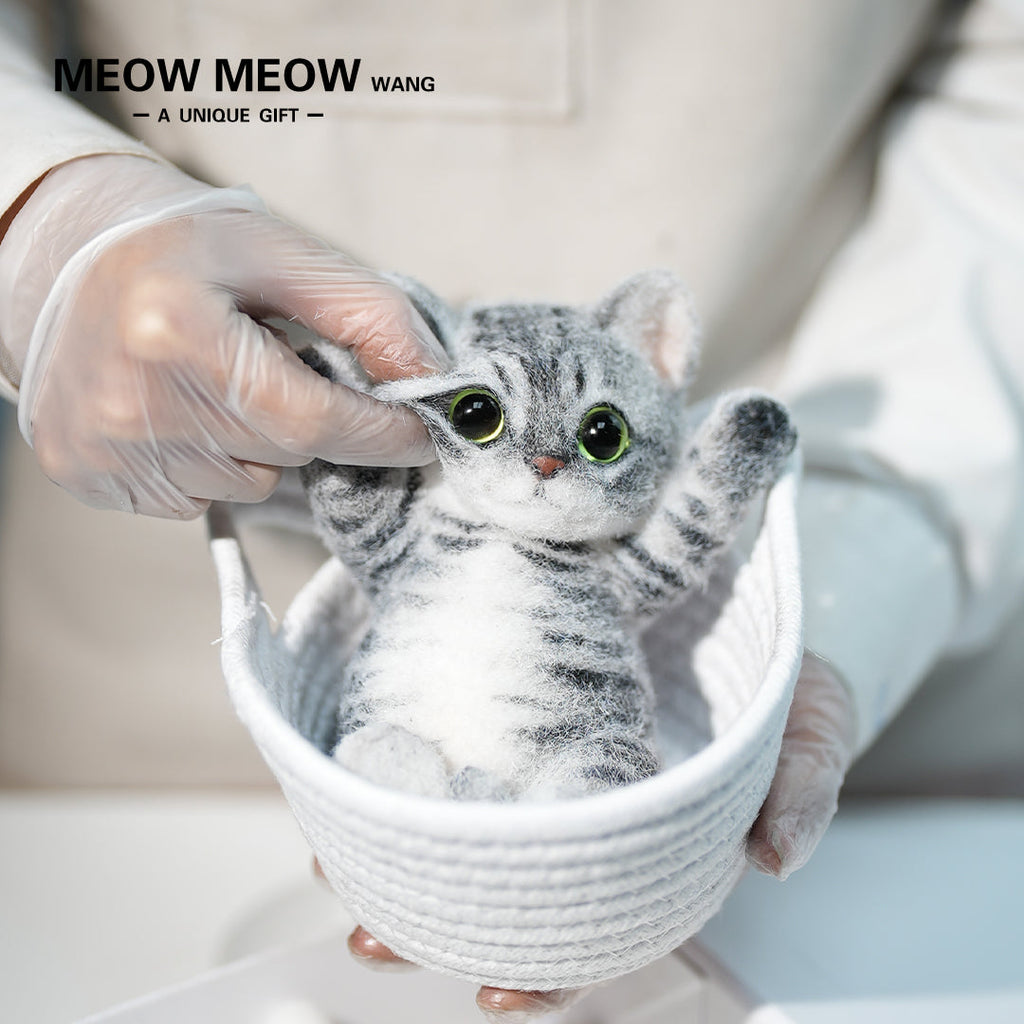 B11:A Tabby Cat With Green Eyes
