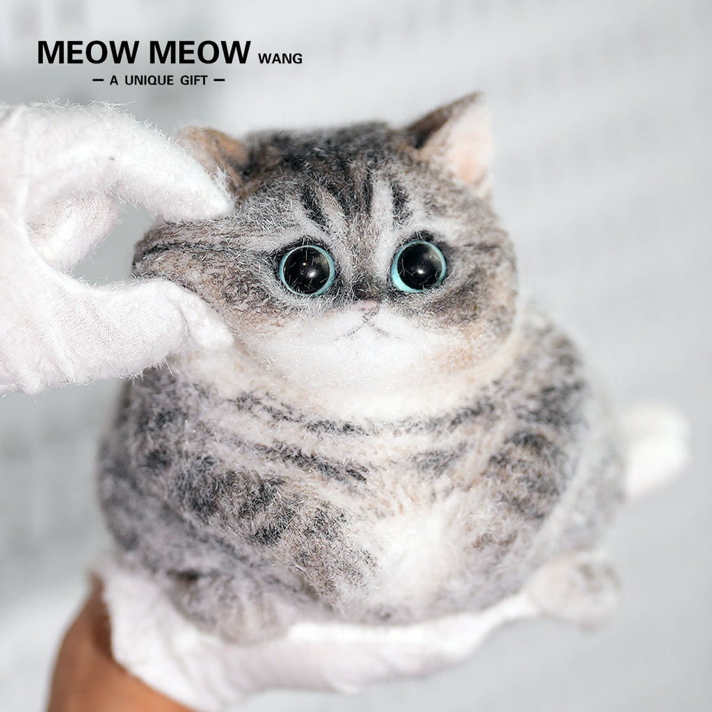 C18:Cute Chubby Black Brown Tabby Cat