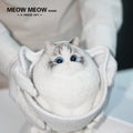A17:Chubby And Cute Ragdoll Cat