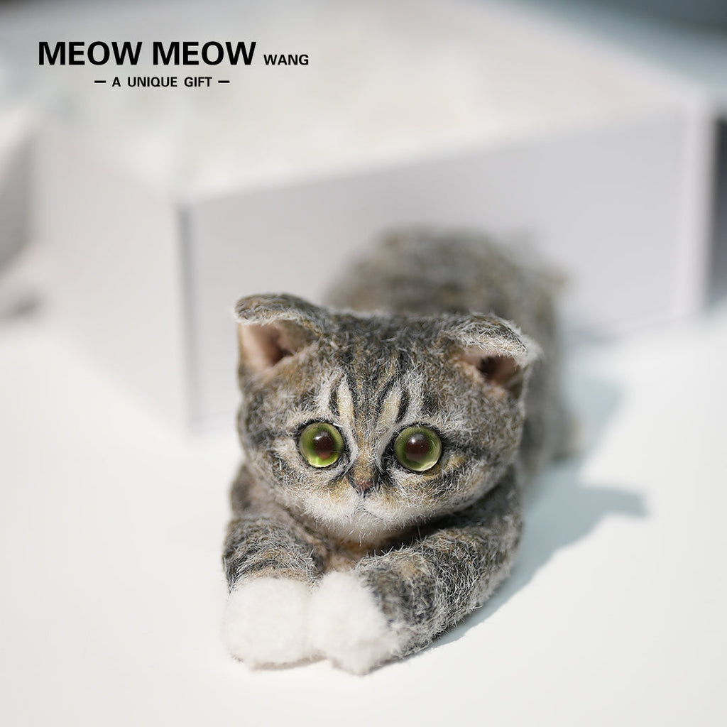 B22:A Lying Tabby Cat