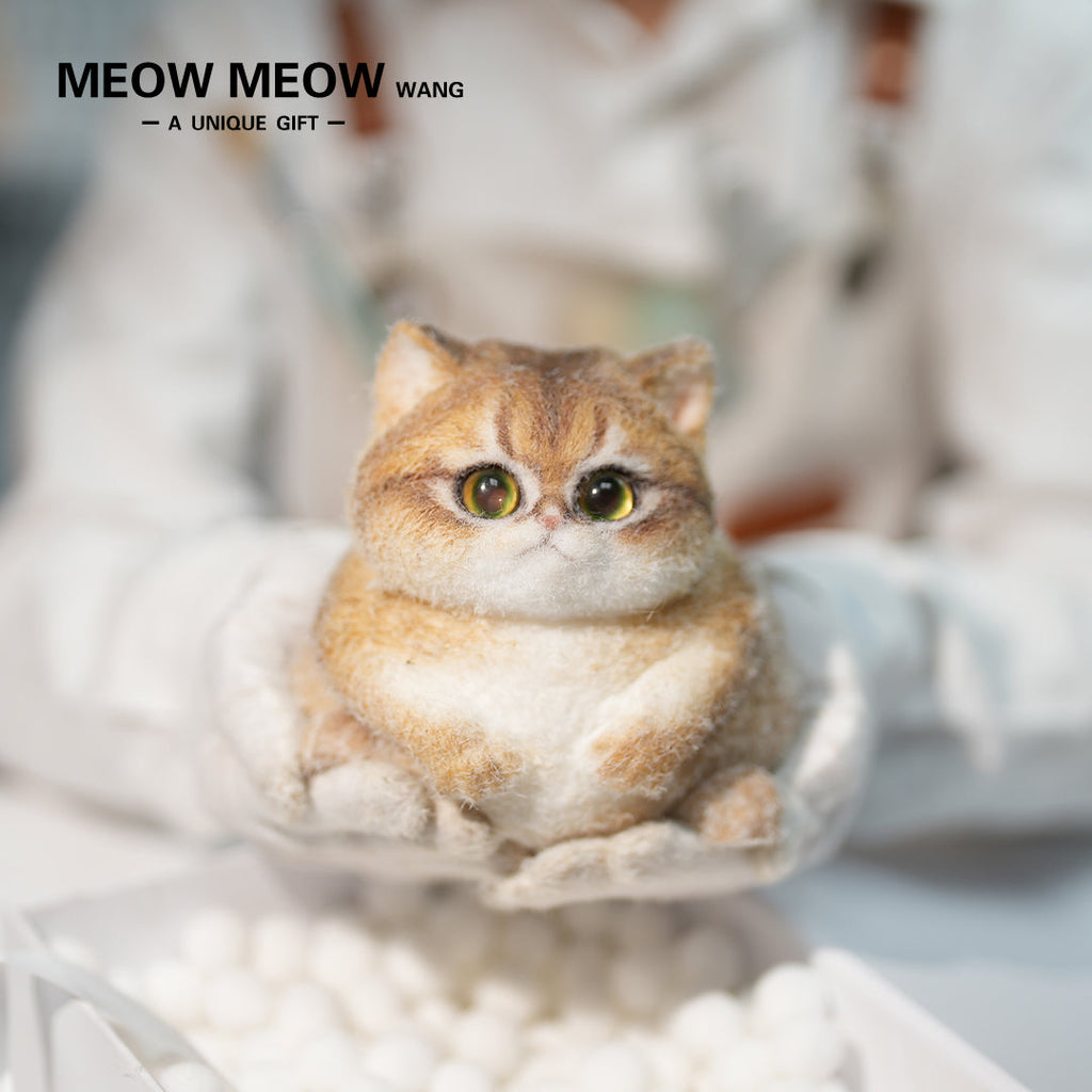 C29:A Unique Golden Shaded Tabby Cat