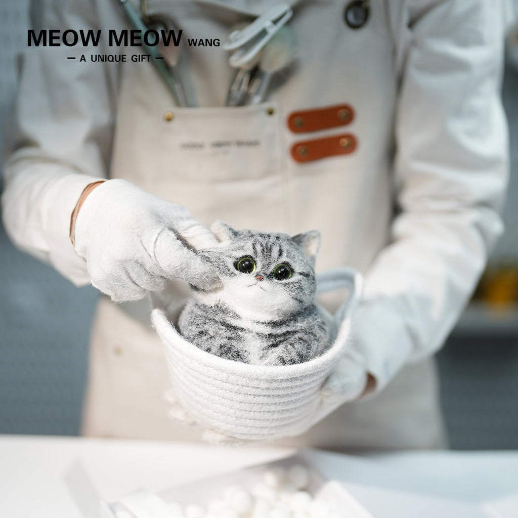 C25:A Chubby Silver-Grey Cat