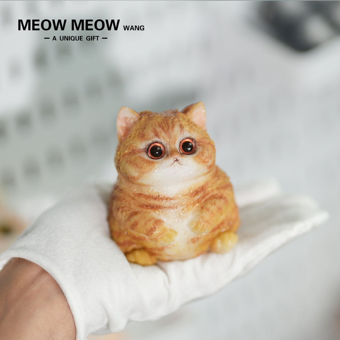 E02:Super Cute Mini Chubby Cat