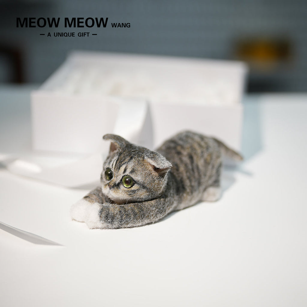 B22:A Lying Tabby Cat