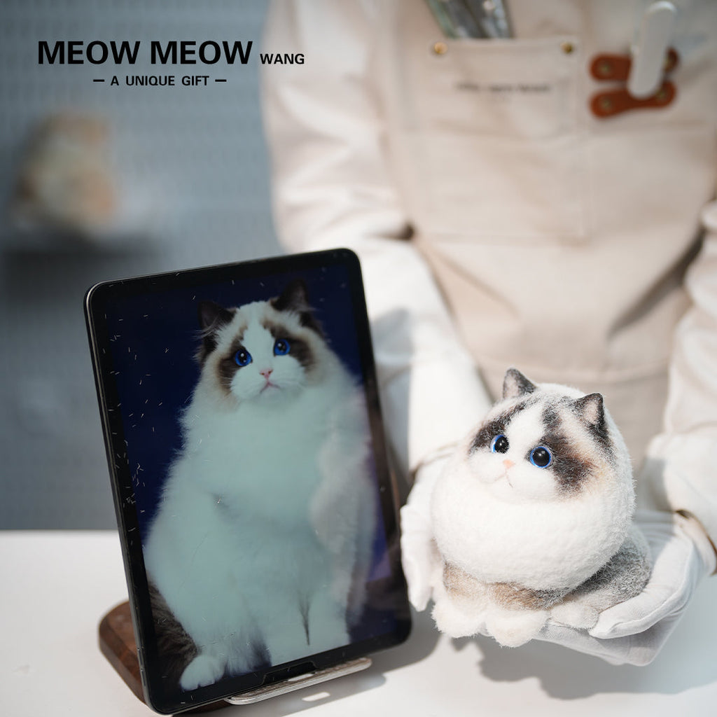 A003: Customized Long-haired Cat