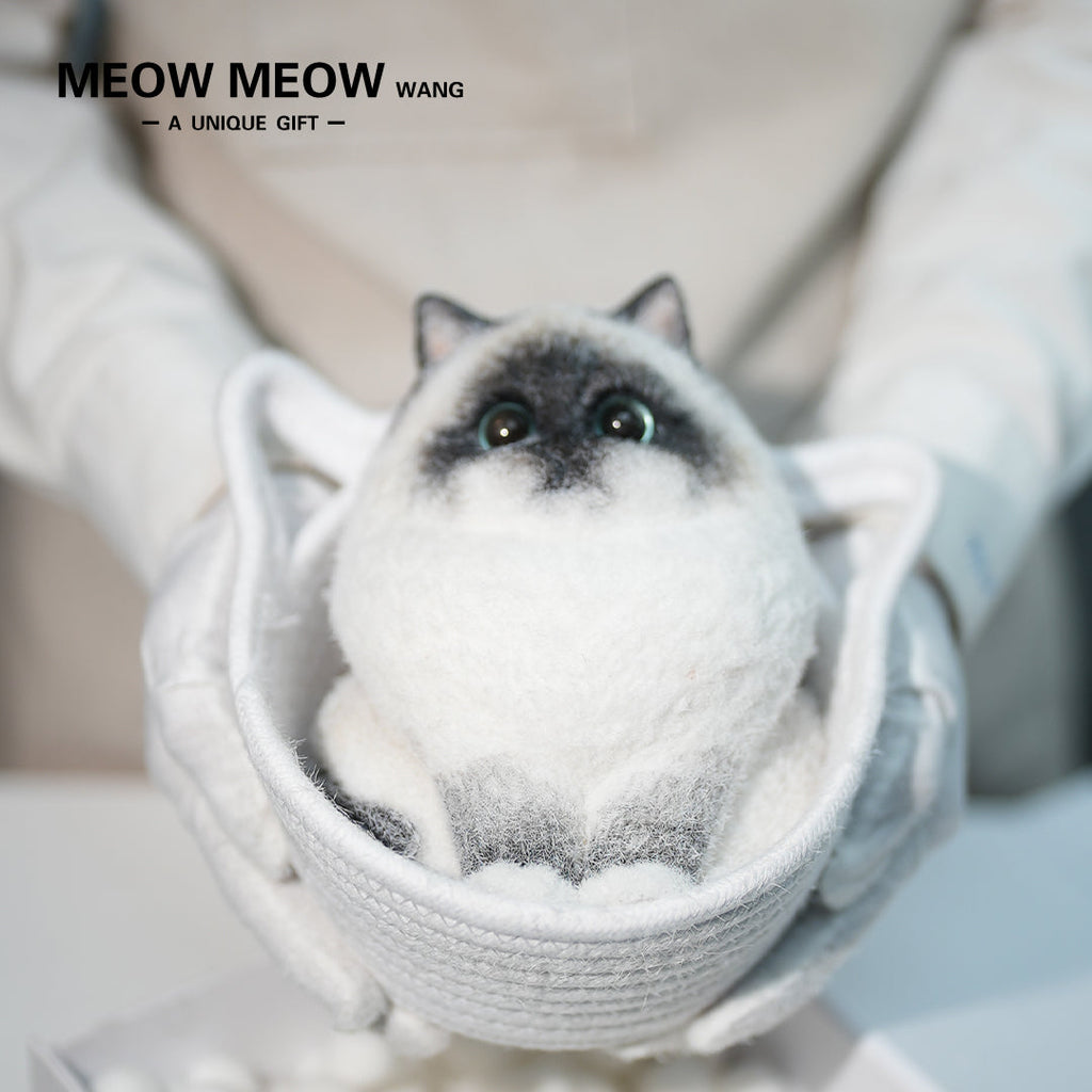 A21:Unique Long-Haired Siamese Cat