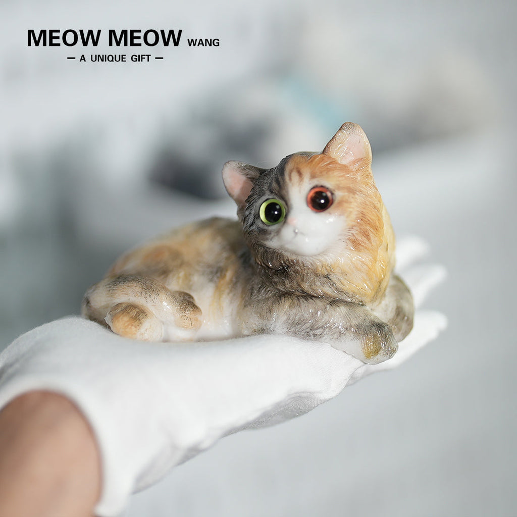 E04:Fluffy Heteromyptic Kitten