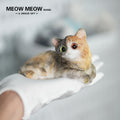 E04:Fluffy Heteromyptic Kitten