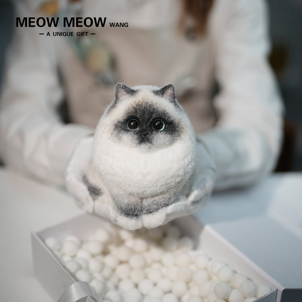 A21:Unique Long-Haired Siamese Cat