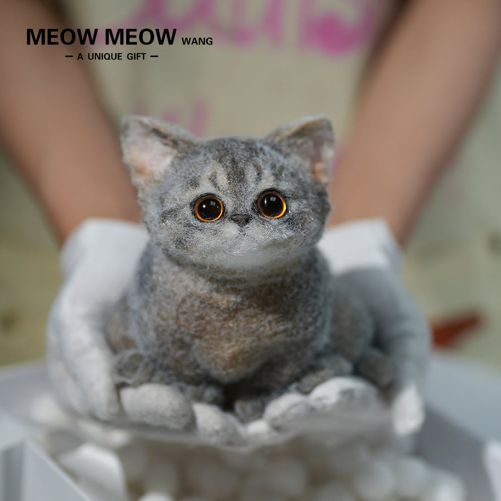 B05: Cute New Abby Squishy Cat