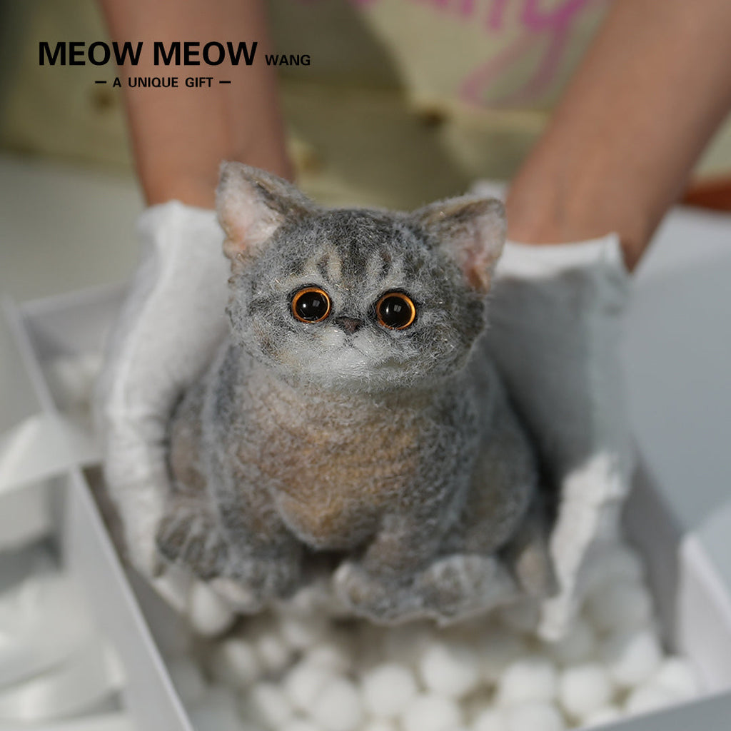 B05: Cute New Abby Squishy Cat