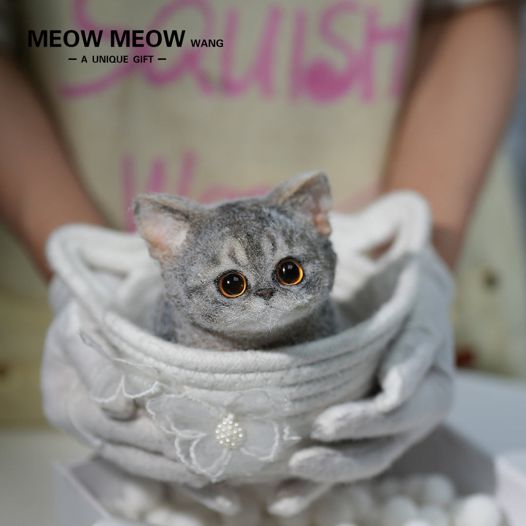 B05: Cute New Abby Squishy Cat