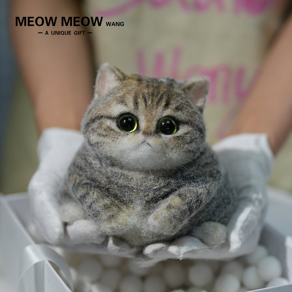 A07:Chubby Yellow-Green Raccoon Cat