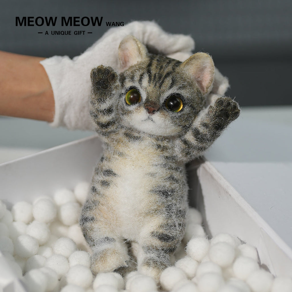 A09:Handsome Yellow-Green Eyed Cat