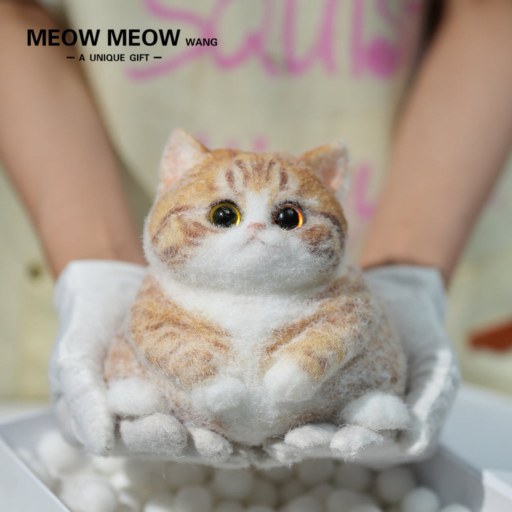 A08:Super Cute Fluffy Orange Cat