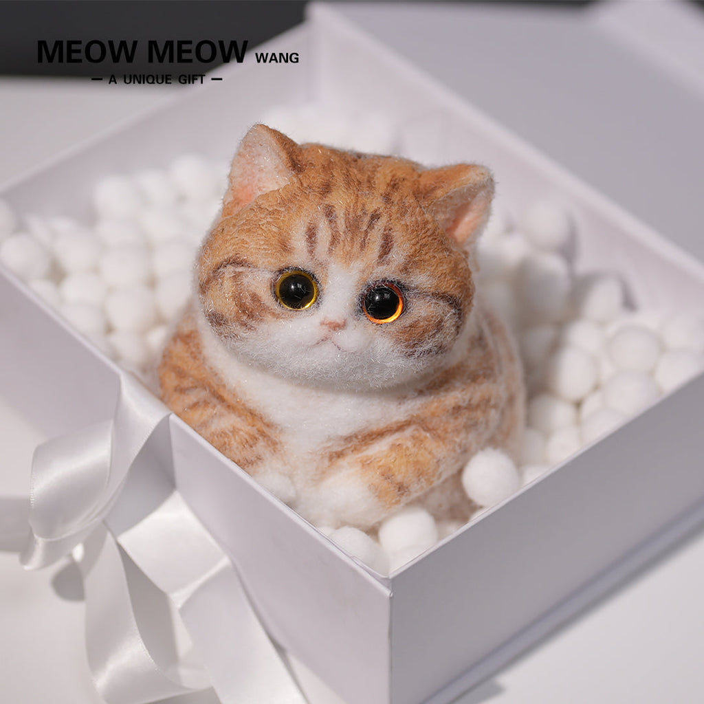 A08:Super Cute Fluffy Orange Cat