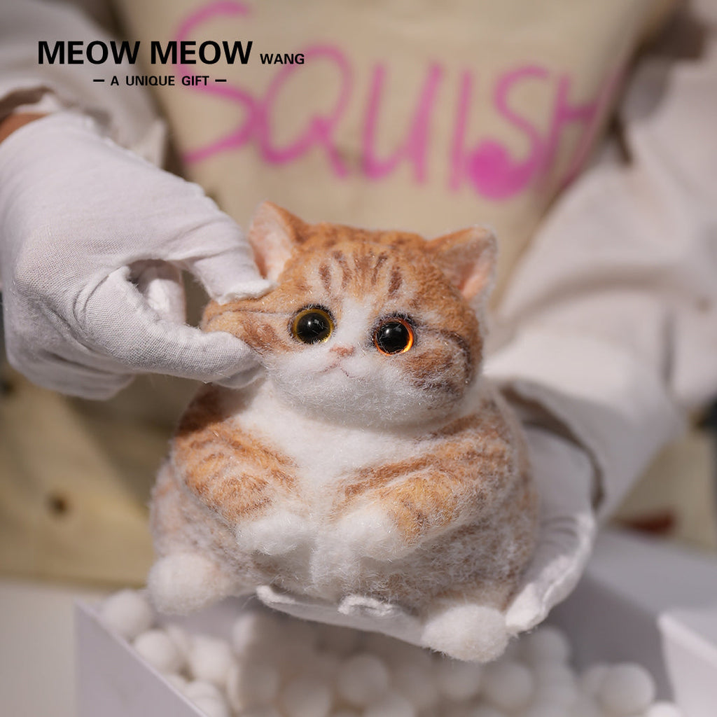 A08:Super Cute Fluffy Orange Cat