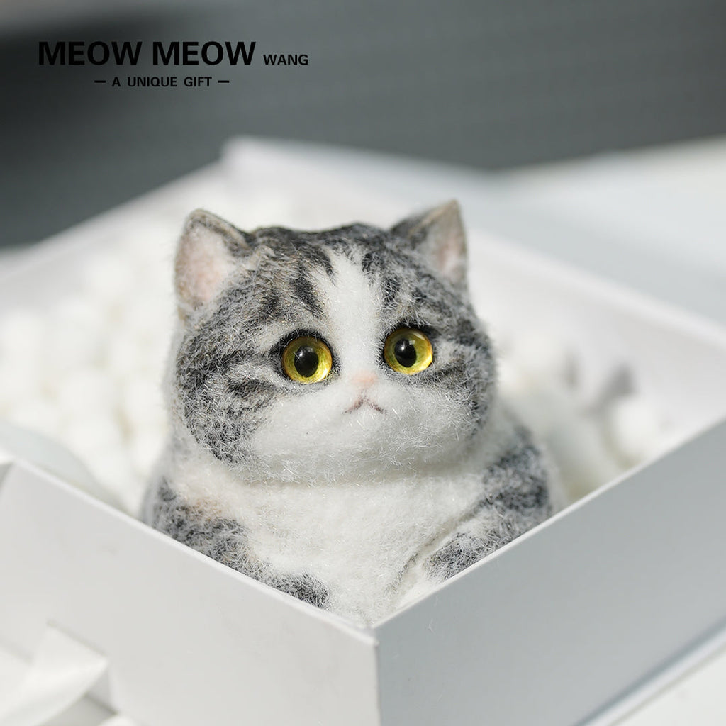 C03:Super Cute Gray Squishy Chubby kitty