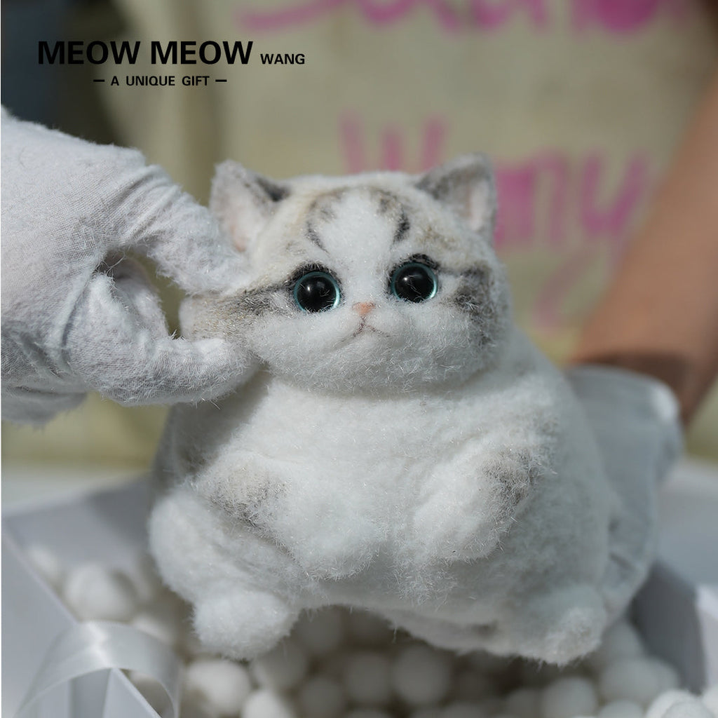 A13:Chubby Fluffy Squishy Ragdoll with Pink Nose