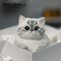 C08:White Chubby Dumpling Squishy Cat