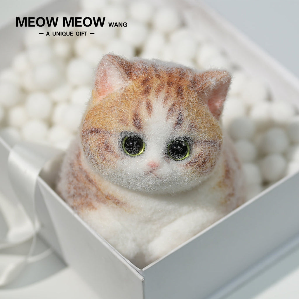 C09: Rare Fat Orange Cat With Green Eyes